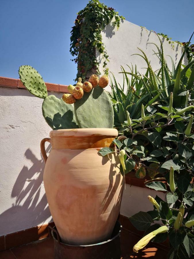 B&B Villa Ziella Portopalo Di Capo Passero Exterior foto